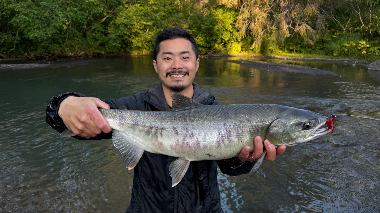I Found A Secluded Creek Stacked With Salmon In Alaska | Non-Stop Action |