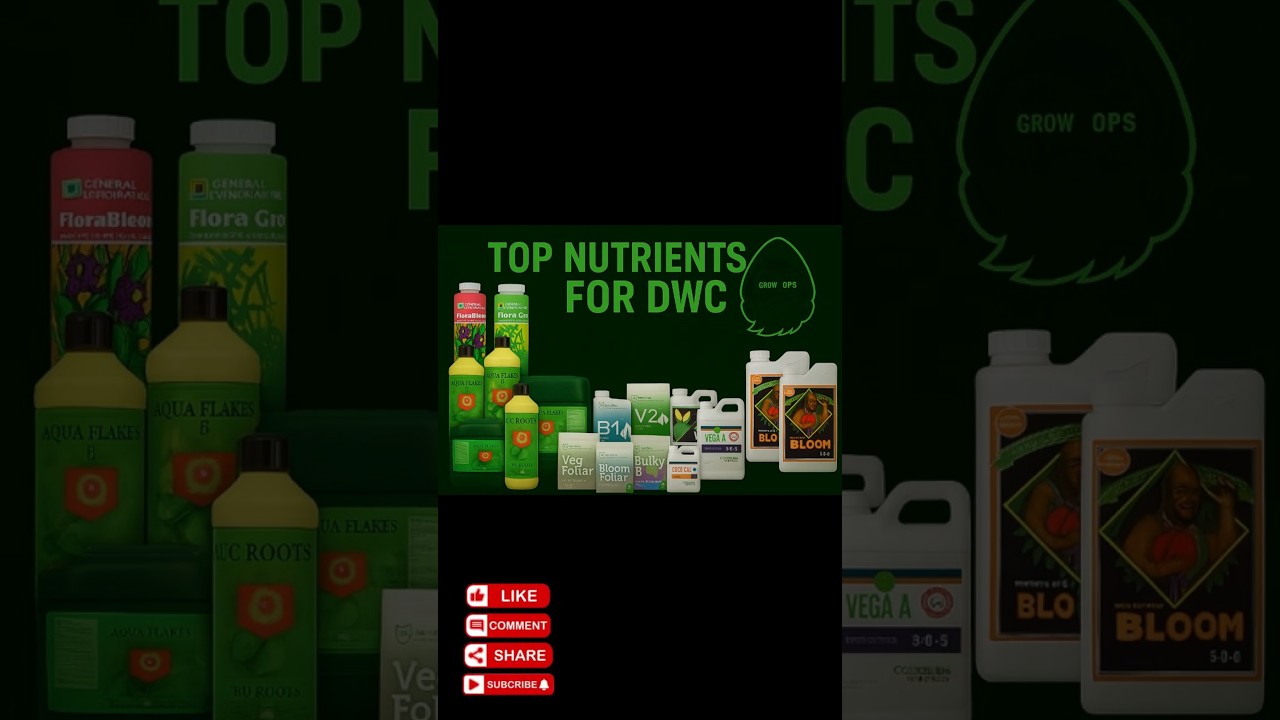 Best Nutrients for DWC for Any Budget (2025) #shorts