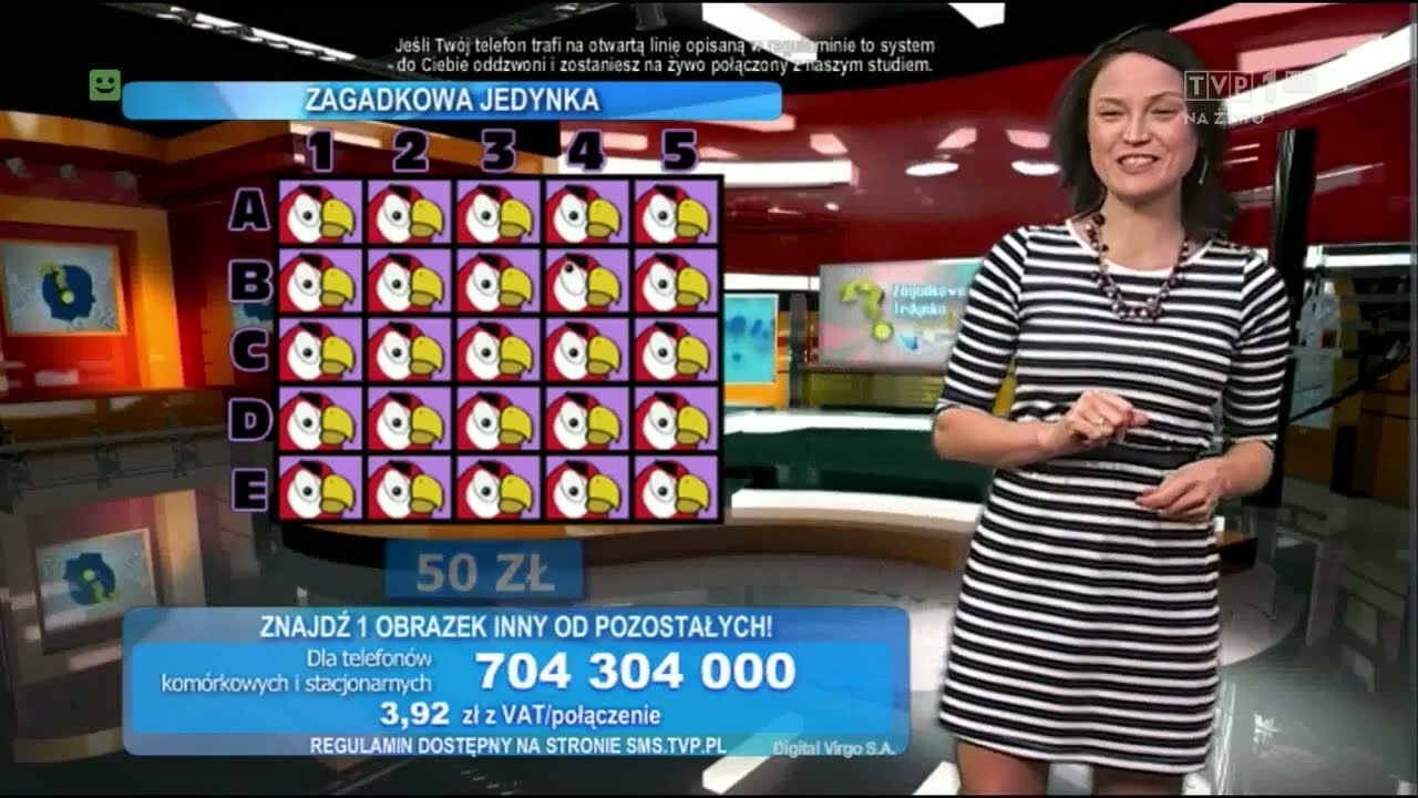 Zagadkowa jedynka 13.01.2015 (TVP1)