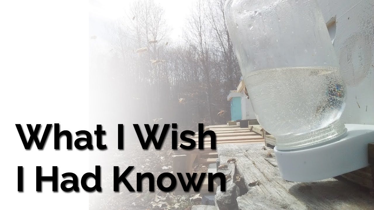 What I Wish I Had Known As A First Year Beekeeper | Beginner Mistakes