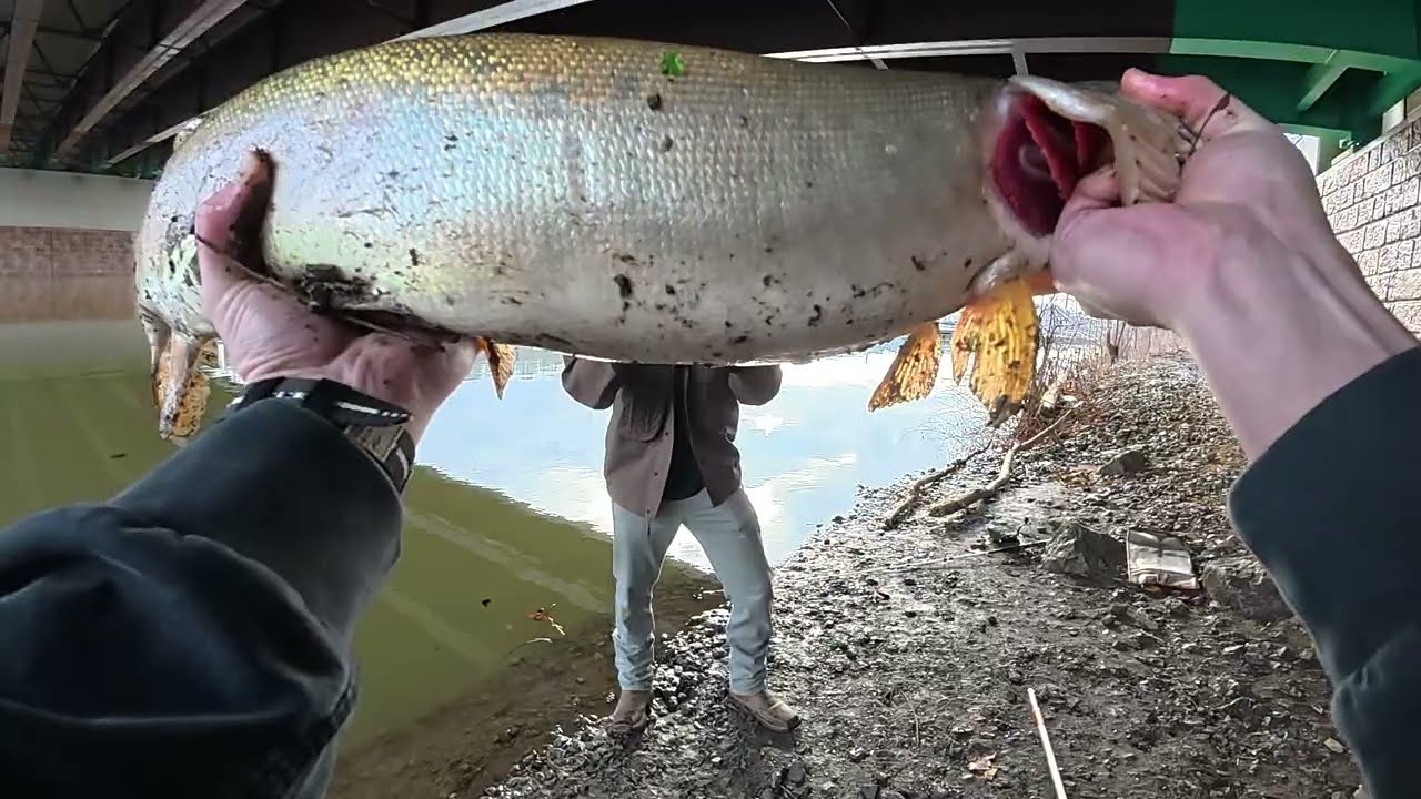 First Muskie