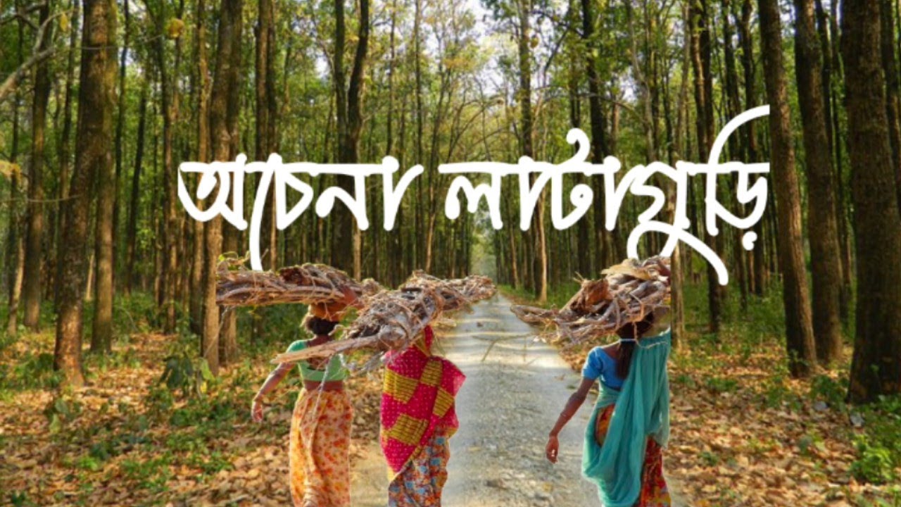 Trip to Lataguri || Gorumara||Offbeat Lataguri Tour|| #greentouchecoresort ||#bengalitravelvlog