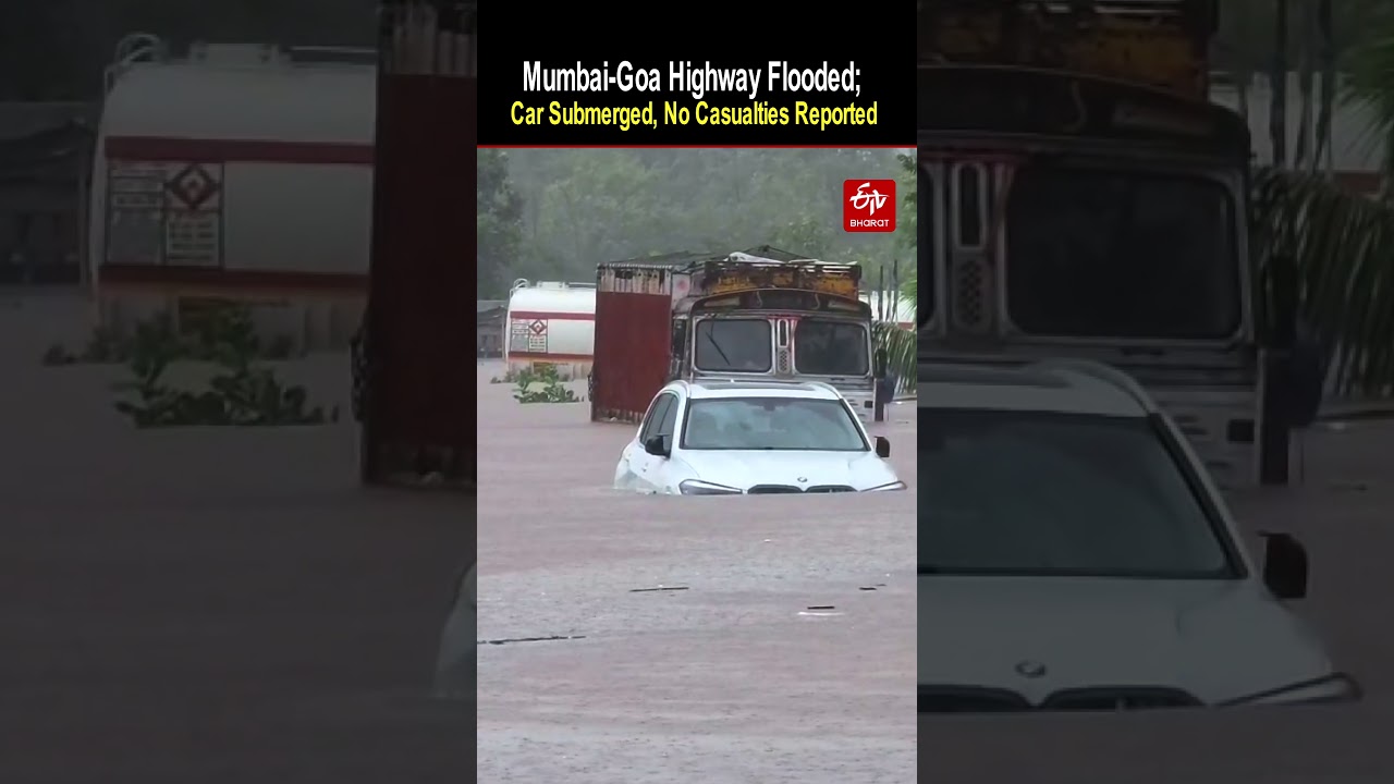 Mumbai-Goa Highway Flooded; Car Submerged, No Casualties Reported  | Mumbai Rains | Maharashtra