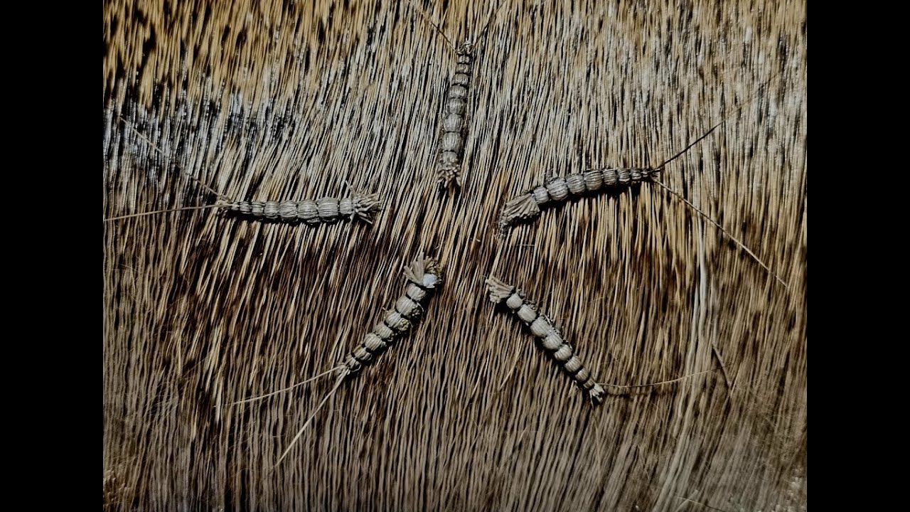 How to tie extended bodies for mayflies - Made by Matthias Dibiasi