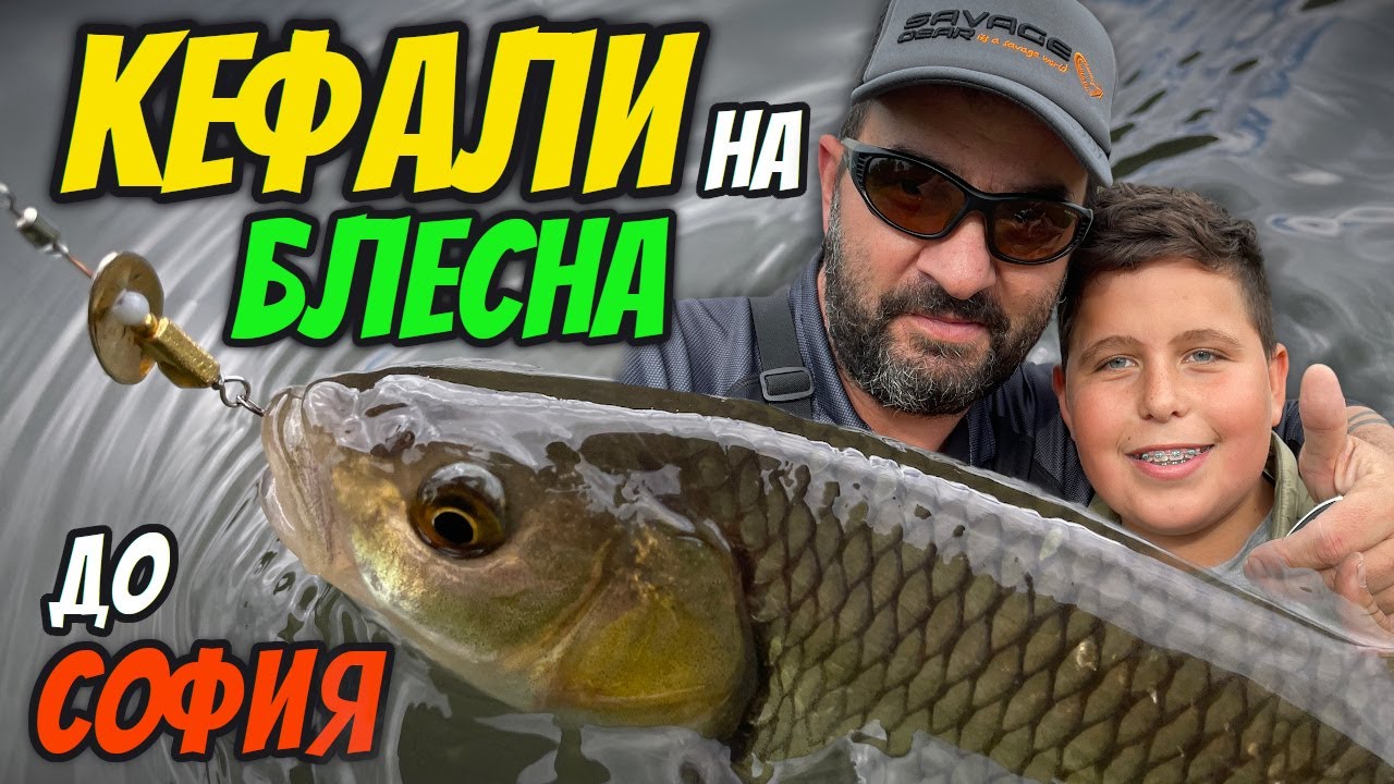 Риболов на КЕФАЛ на малка РЕКА на БЛЕСНА