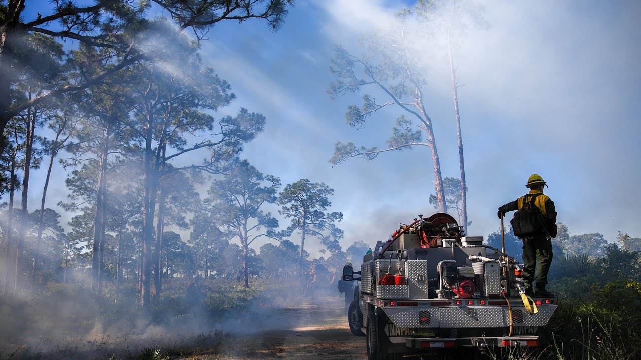 Fire prevention specialist is one of the fastest growing jobs in 2019