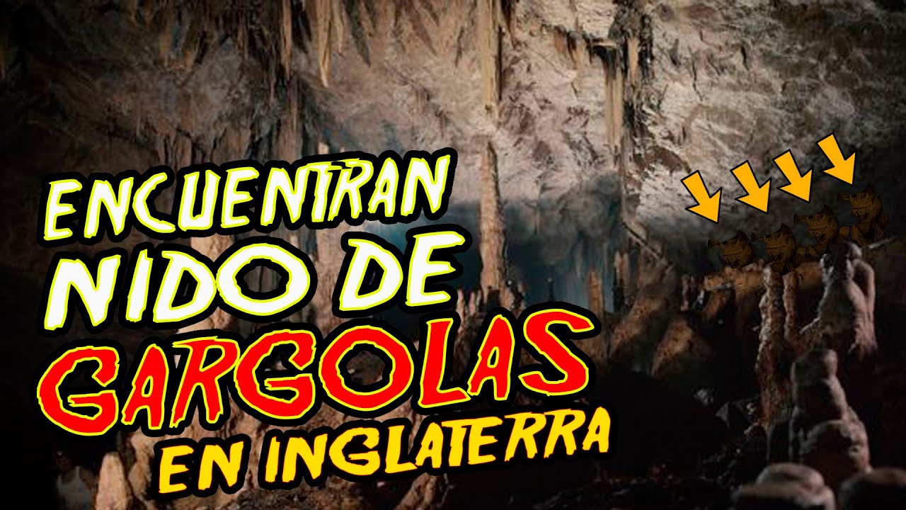 Encuentran un NIDO de G&Aacute;RGOLAS en Inglaterra - Hay 3 desaparecidos