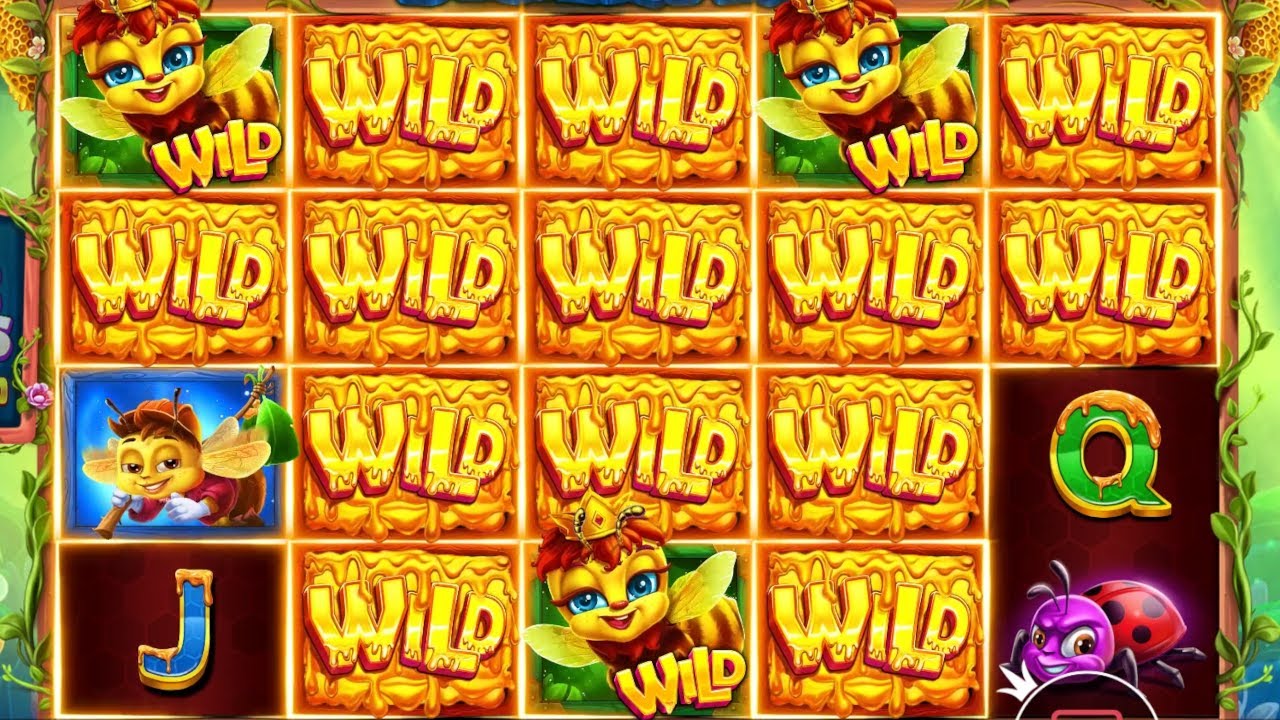3 Buzzing Wilds Big Win