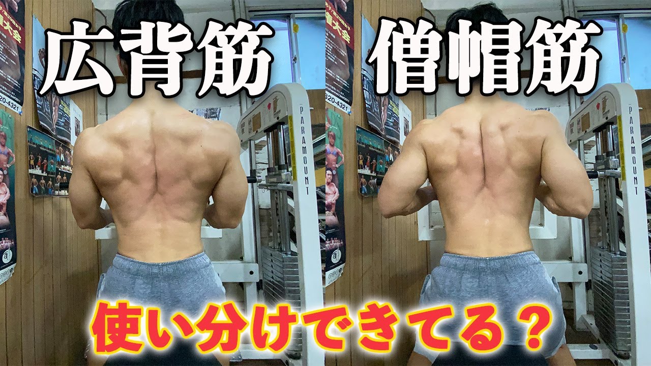 【広背筋】シーテッドロウの効率的なやり方・使い分け方を徹底解説【僧帽筋】