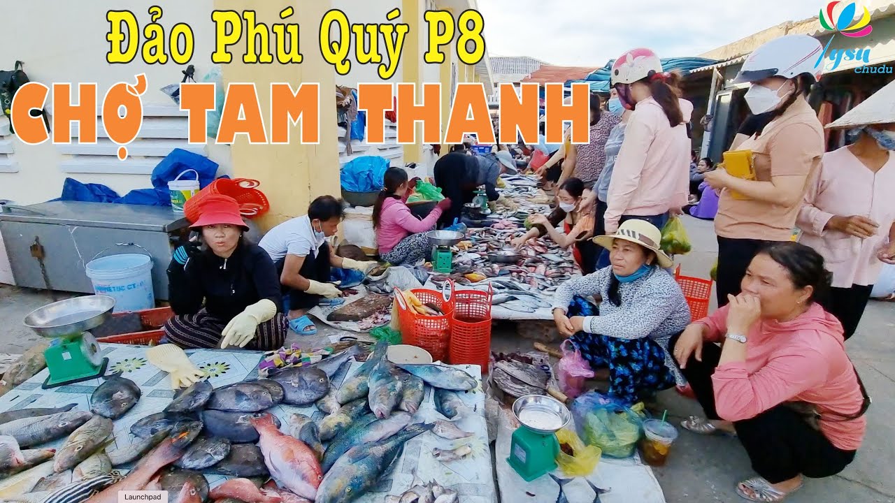 P8 ĐẢO PHÚ QUÝ | Ghé Thăm Chợ Tam Thanh Hải Sản Tươi Ngon Vlog |Du lịch Phan Thiết Mũi Né