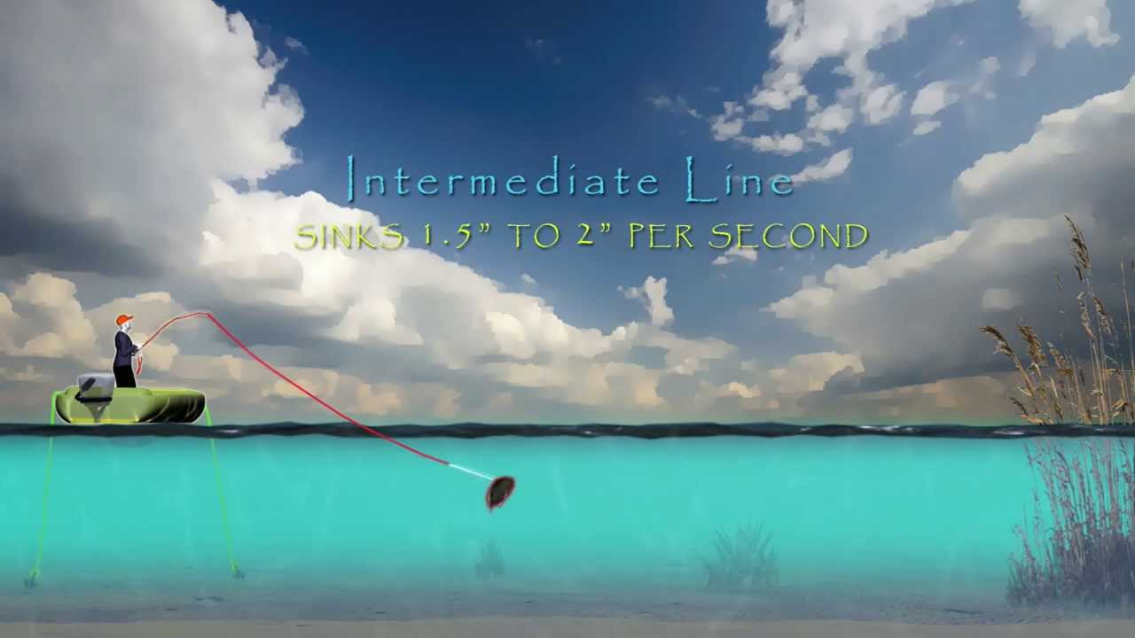 How to Fly Fish Using Hover and Intermediate Sink Fly Lines