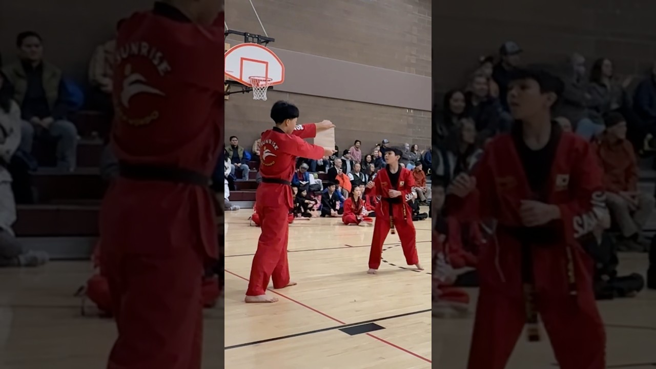Taekwondo Board Breaking #shorts #fyp #sports #martialarts