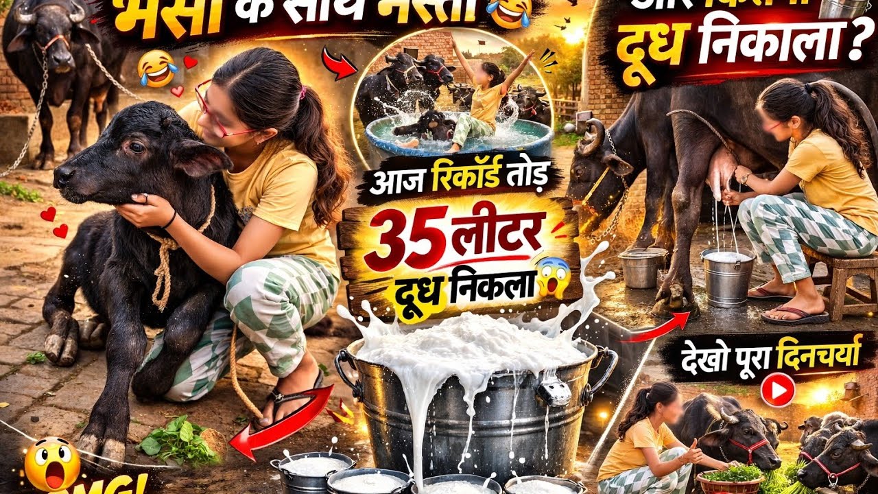 ये देखो हमारी भैंस कितना दूध देती है || # @gaonwali isha vlogs ||