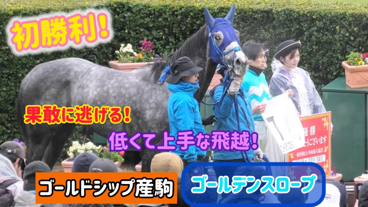 【ゴールドシップ産駒】ドヤ顔で帰ってきてファンサもしちゃうゴールデンスロープ、嬉しい初勝利！