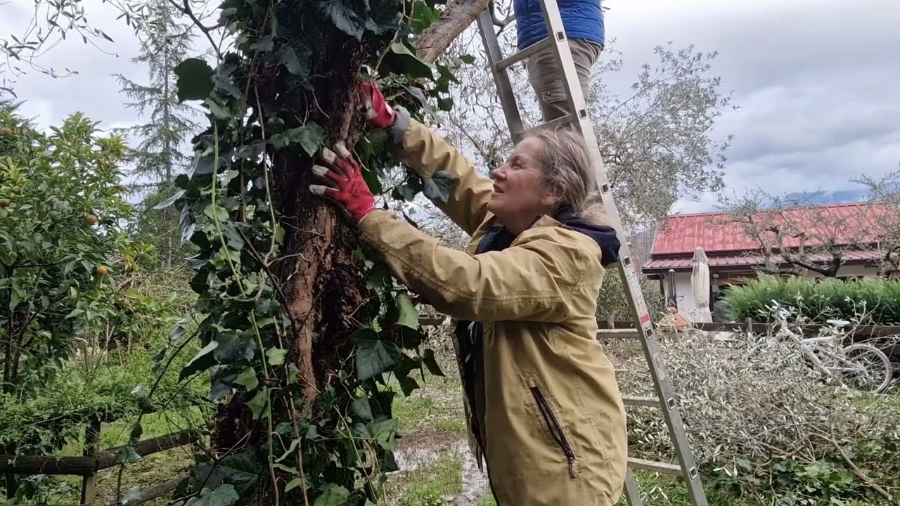 Гоняю на электровелосипеде# Борьба с паразитами/Вечная кофеварка.