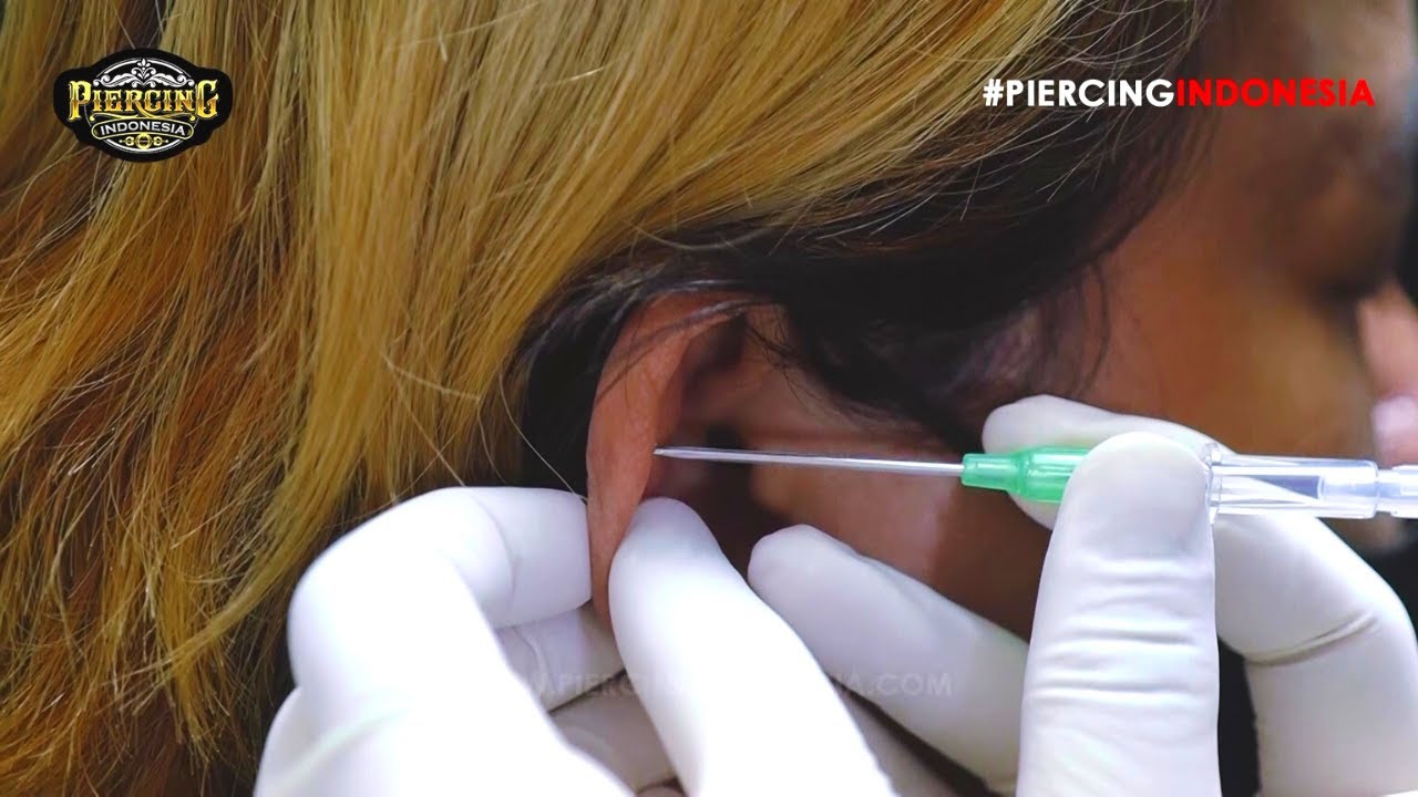 Helix Piercing by Piercing Indonesia - JAKARTA, BANDUNG, SURABAYA, BALI