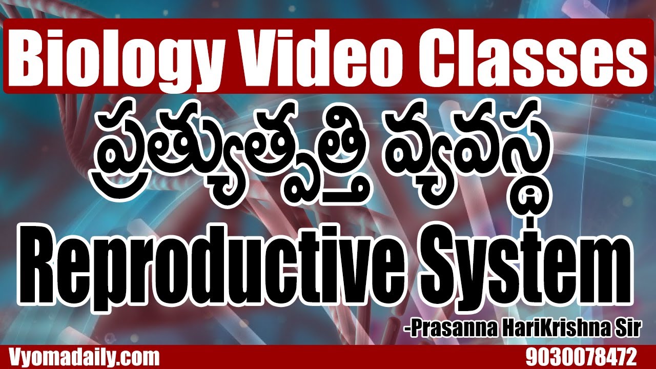 ప్రత్యుత్పత్తి వ్యవస్థ - Reproductive System | Biology Classes in Telugu | Prasanna HariKrishna Sir