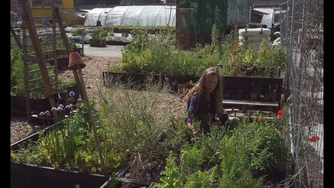 An urban garden with La Sauge 💬