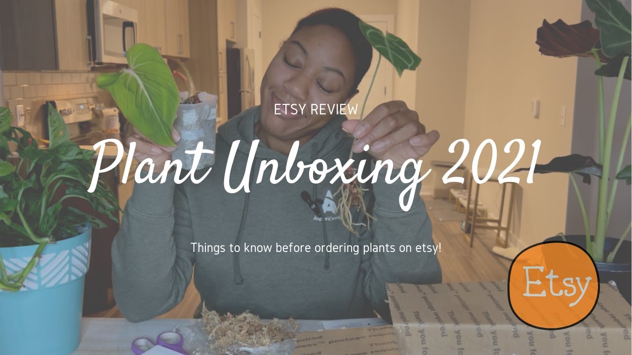 Plant Unboxing 2021 | How To Order Plants Online | Things To Know Before Ordering Plants On Etsy!
