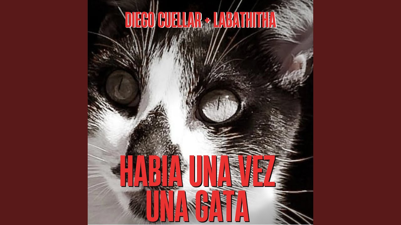 Había una vez una gata