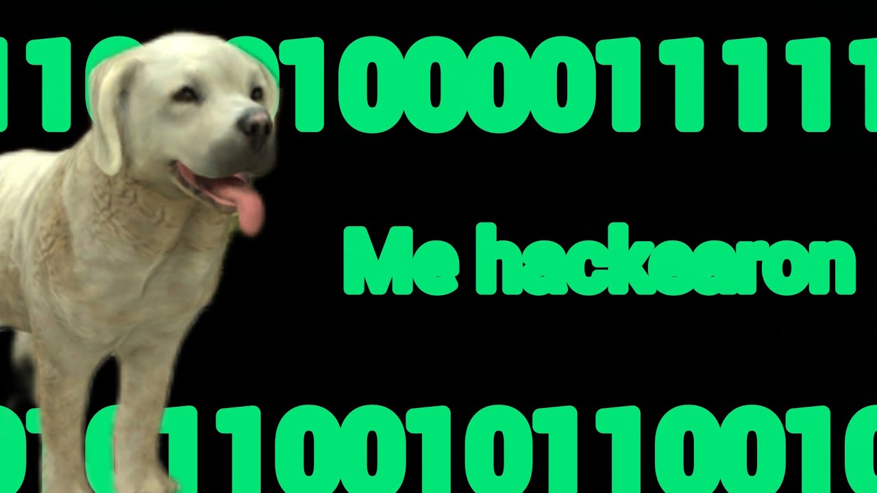Me hackearon en Dog sim online después del cazador maldito 