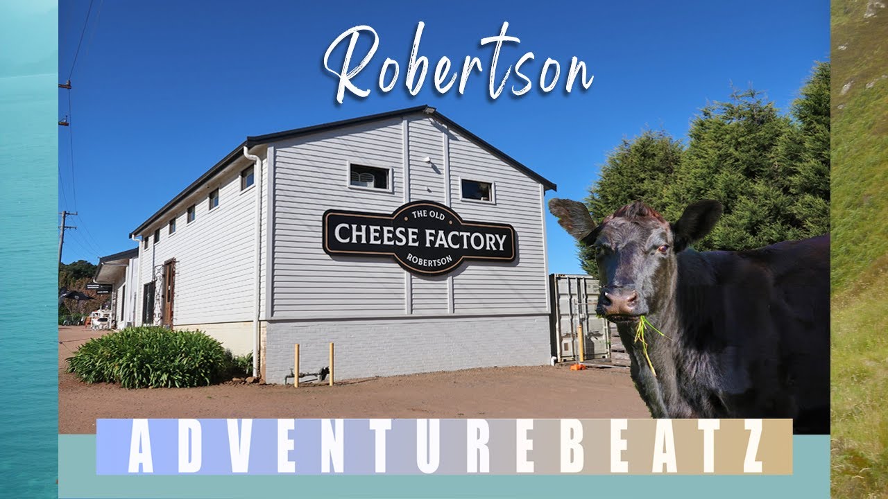 Adventurebeatz | Robertson 🐄  | Southern Highlands | Wingecarribee Shire | NSW | Australia