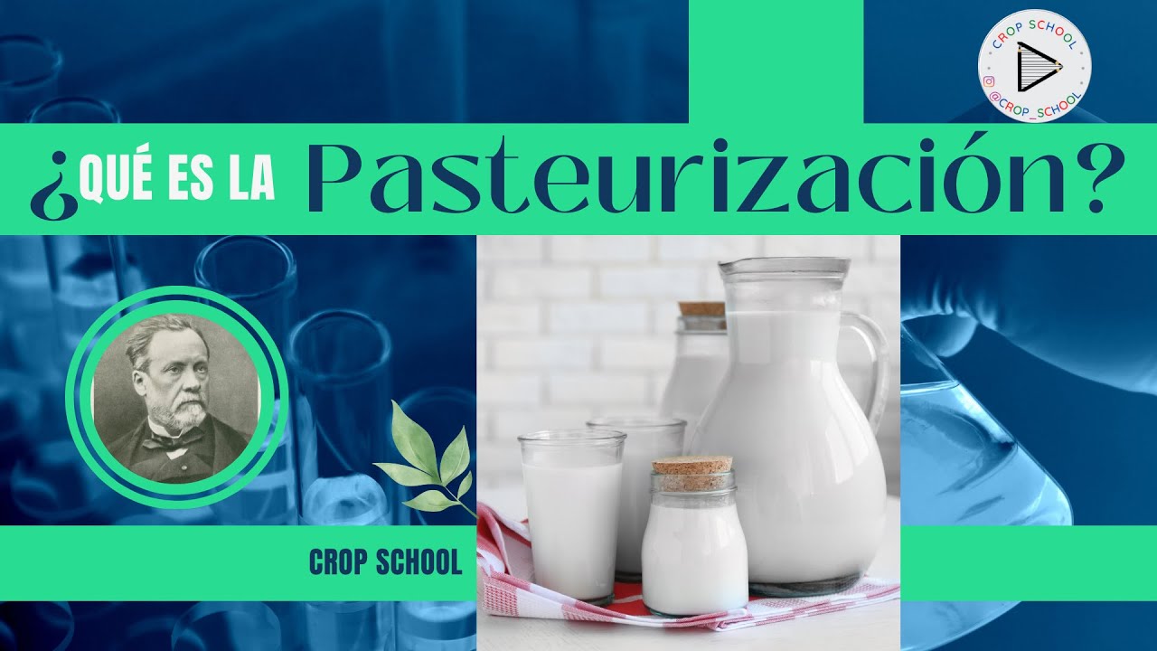 ¿Qué es la Pasteurización? #Alimentos #ProcesosIndustriales #AlimentosOrgánicos #Pasteur