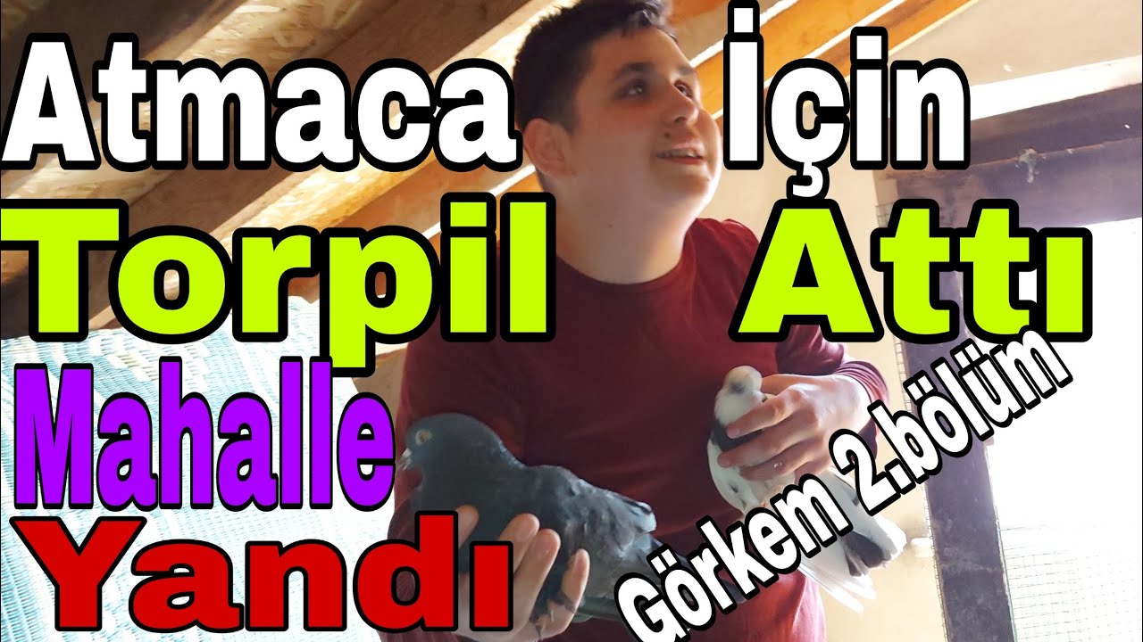 Atmaca İçin Torpil Attı, Mahalle Yandı. Karanlıkda Kuş Uçuran Çocuk, Görkem 2.Bölüm. Gebze Güvercin