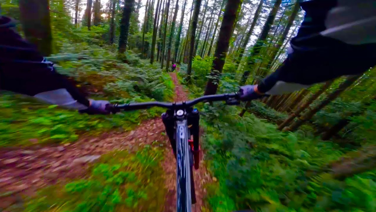 Rostrevor &ldquo;Bins 1.5&rdquo; Evening Laps