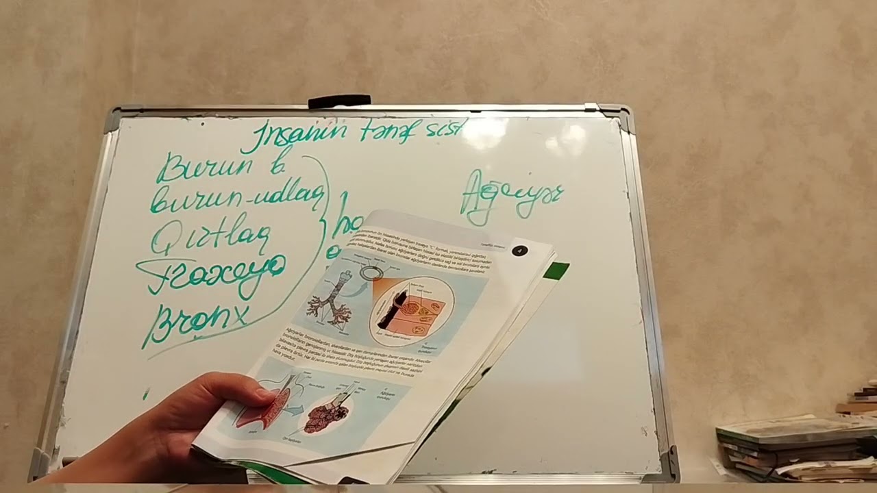 İnsanda tənəffüs sistemi .yeni dərslik səhfə 82