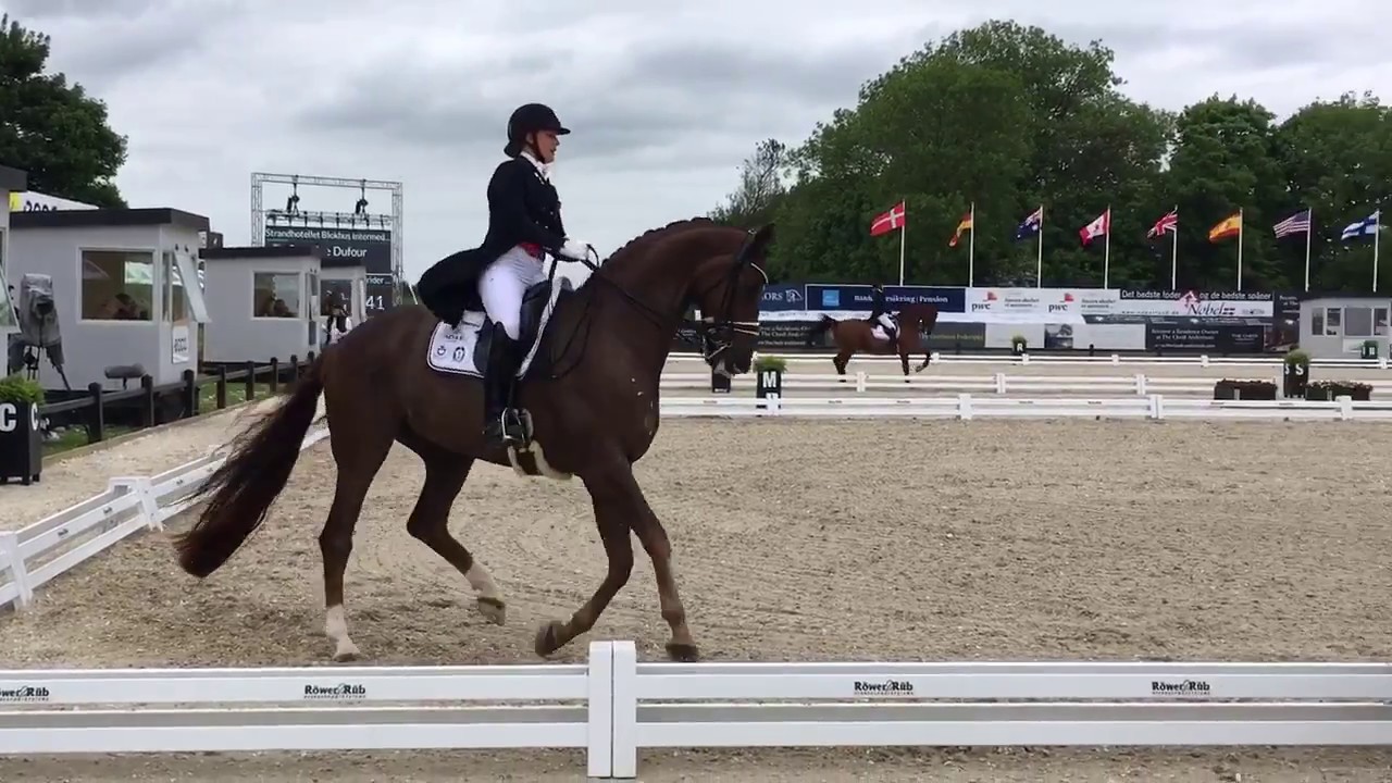 Bohemian 2nd place CDI3 Intermediaire I debut Uggerhalne June 2 2017