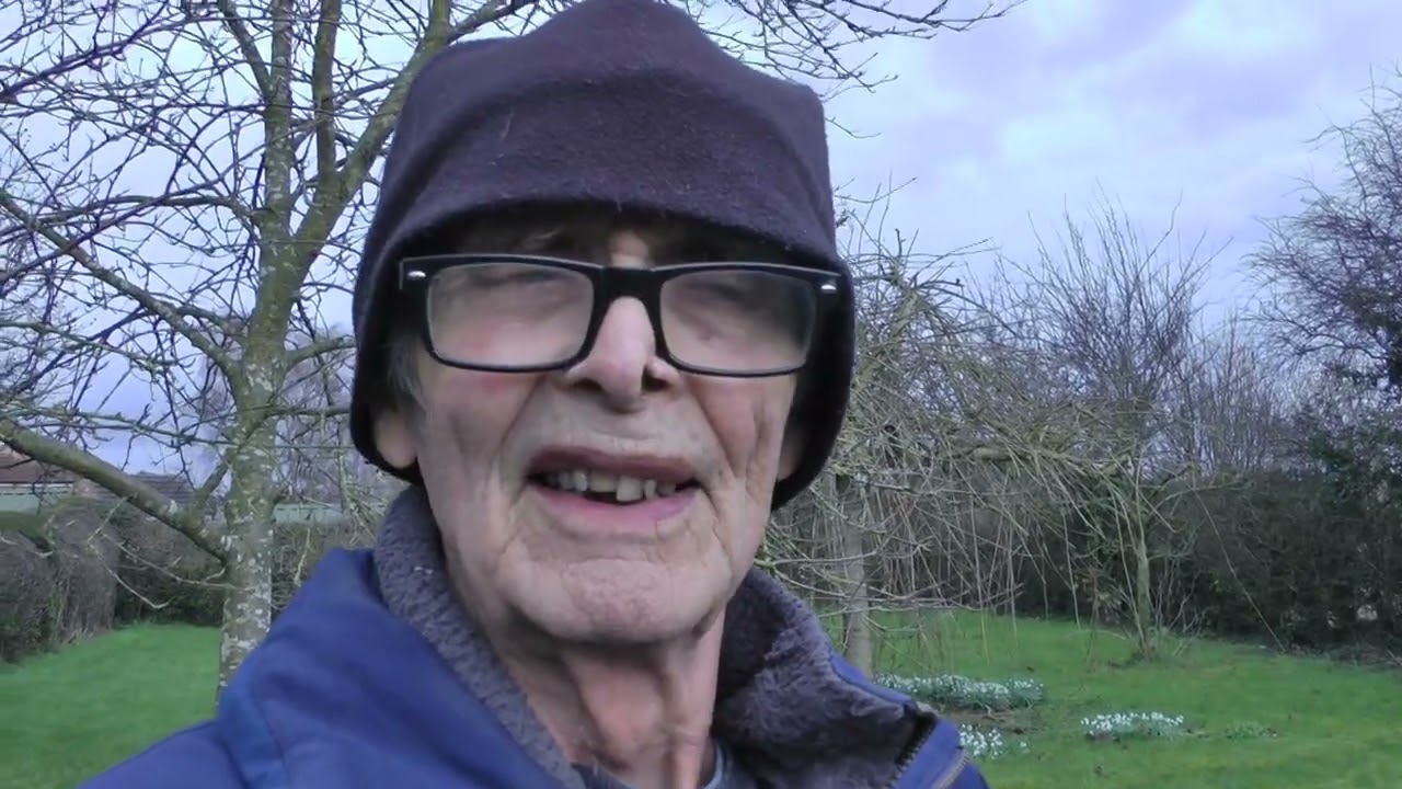 Late winter in the garden