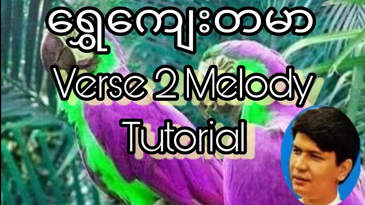 ရွှေကျေးတမာ Verse(2) Melody Lead Guitar Tutorial.