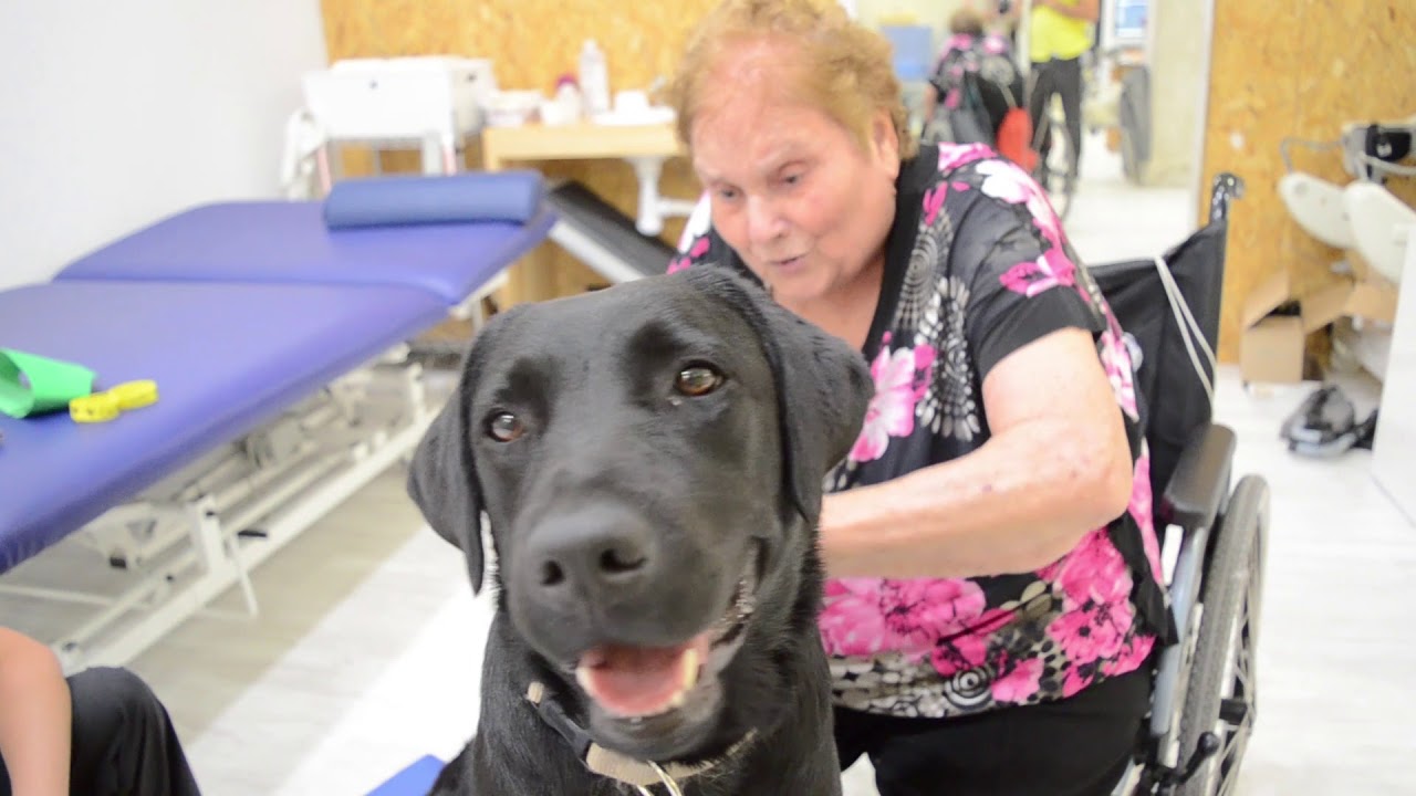 Fivan descubre la Terapia asistida con perros