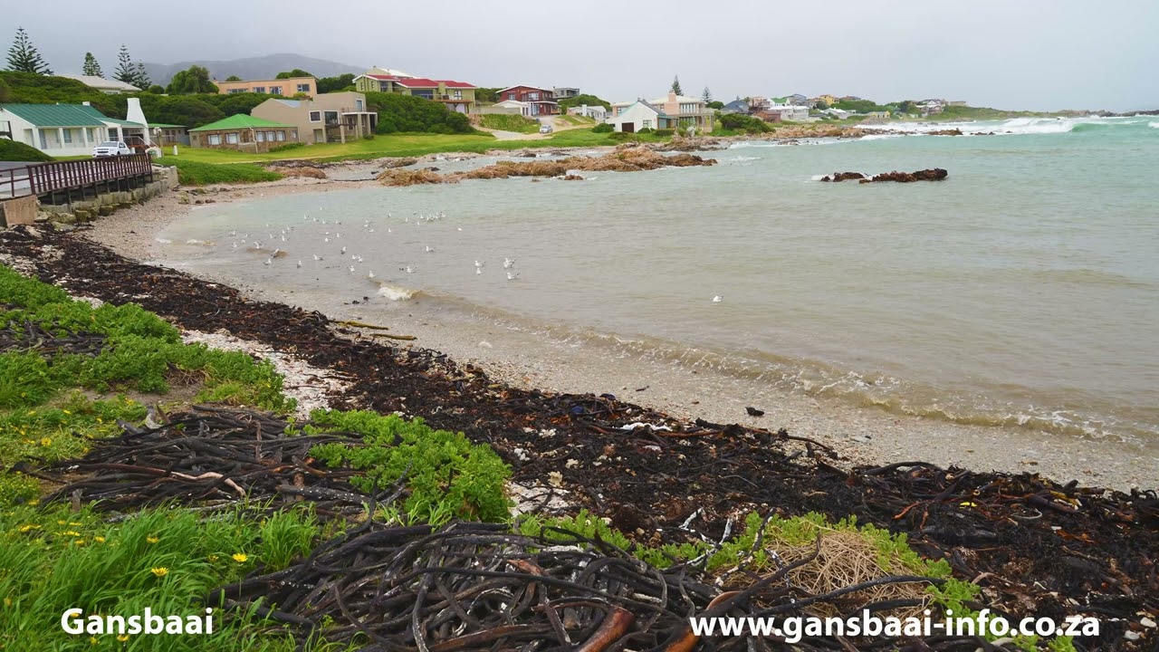 Gansbaai in the Overberg, South Africa