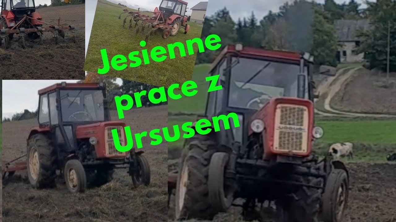 Wspomnienia z oporowej jesieni 2023 ! Drapanie z Ursusem C-4011/360 🚜 ! Drugi bieg i 