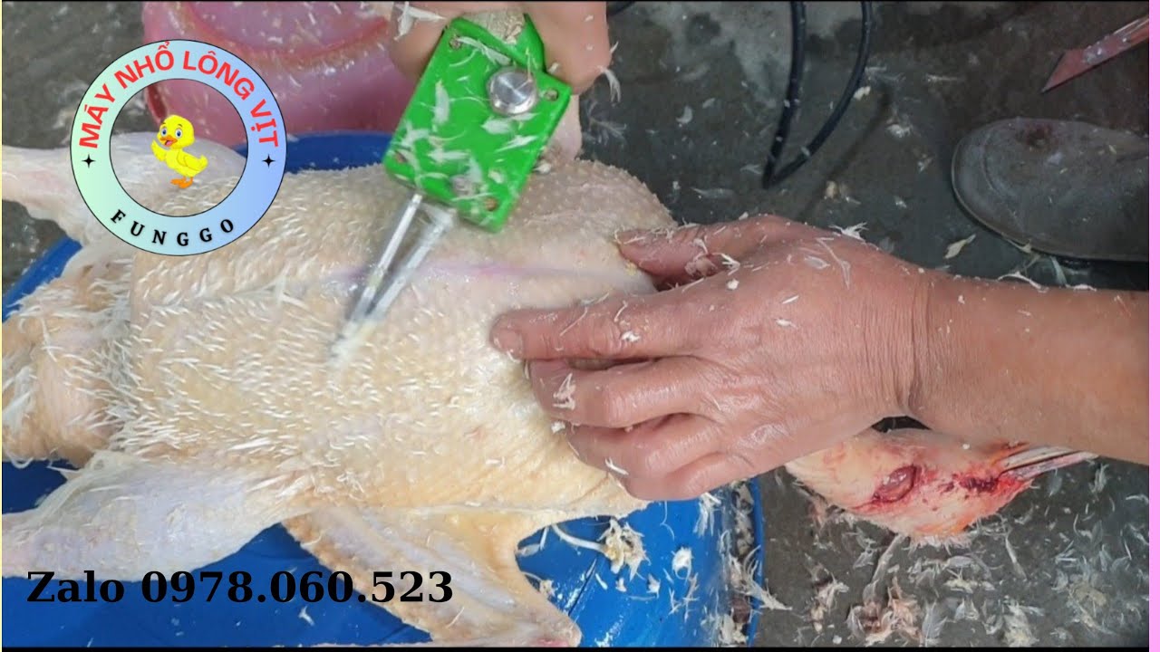 Máy Nhổ Lông Vịt Gà Cầm Tay Chuyên Dụng, Đánh Lông Nhanh Và Sạch, Tiết Kiệm Thời Gian