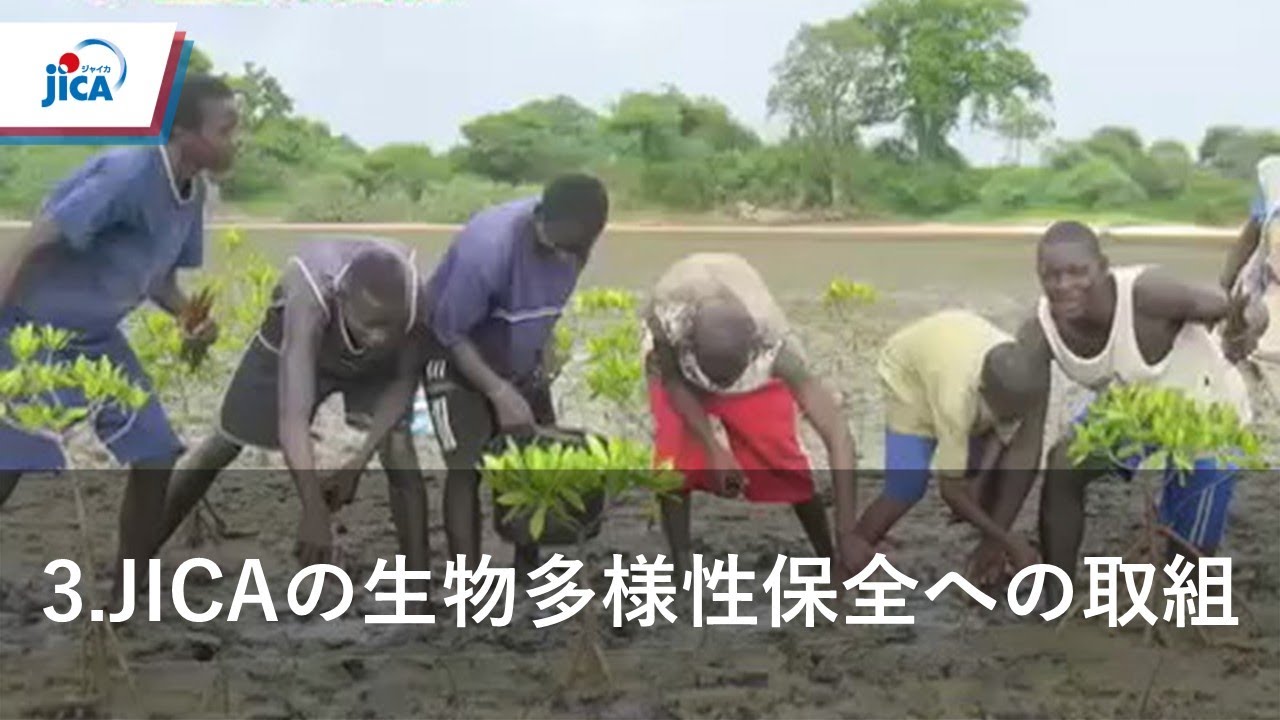 【自然環境保全】生物多様性の保全 ～JICAの取り組み～ 3．JICAの生物多様性保全への取組