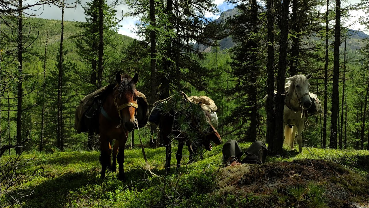 Жизнь по правилам Саяна. Полтора месяца в тайге.