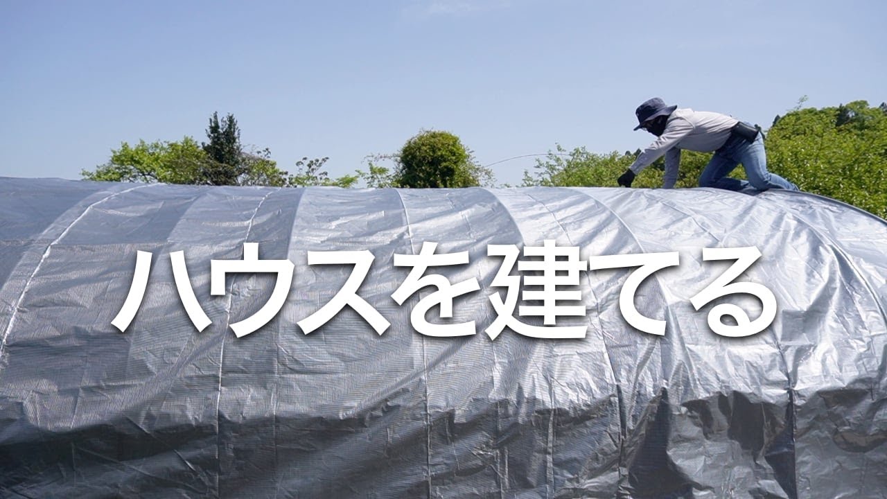 挿し木用ハウスを建てる。