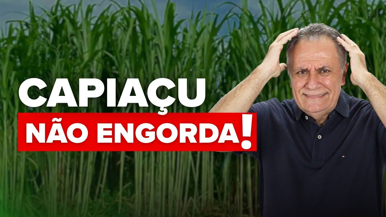 Descubra a verdade por tr&aacute;s da recria com BRS Capia&ccedil;u!