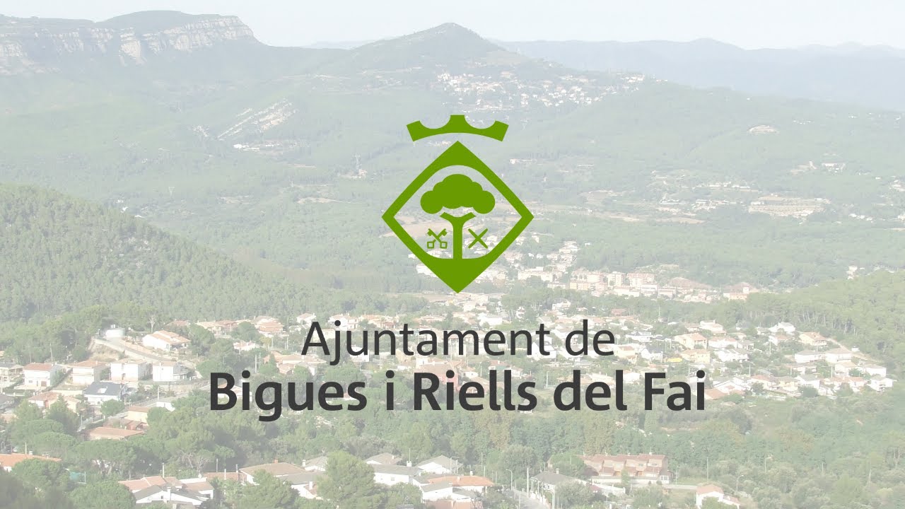 Plens Extraordinària dimarts 10 de març de 2026