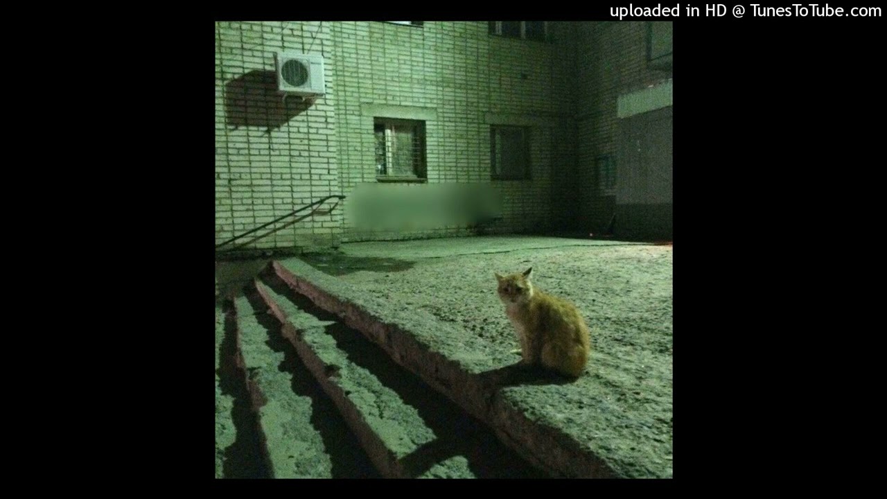 [FREE] Ambient x supertrap x experimental - sub