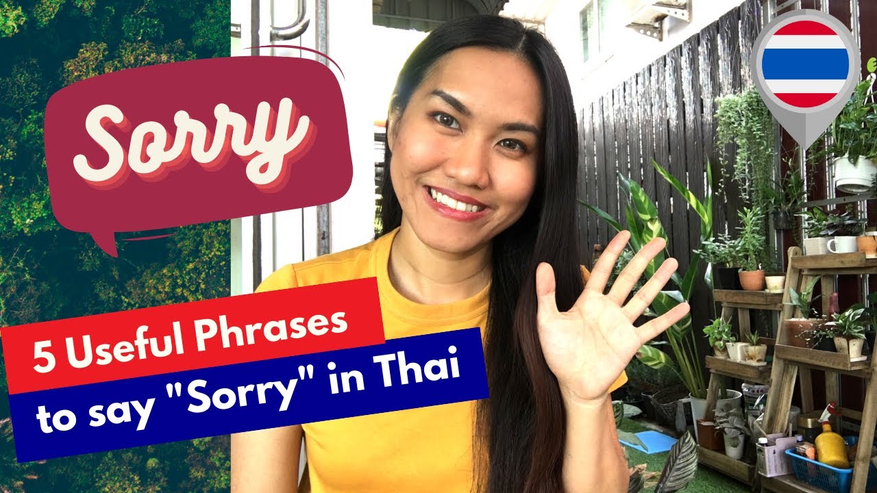 5 Useful Ways to Say Sorry in Thai | Learn Thai For Beginner