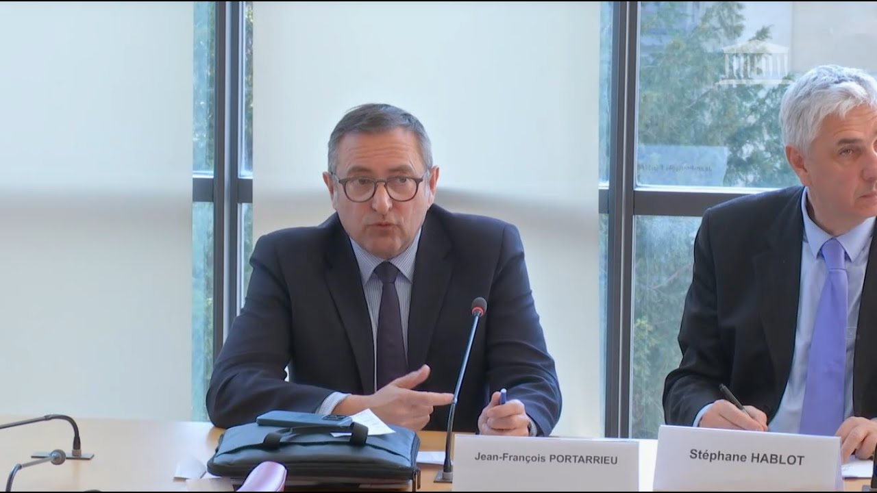 JEAN-FRANÇOIS PORTARRIEU EN COMMISSION DES AFFAIRES ETRANGERES DU 2 04 2025