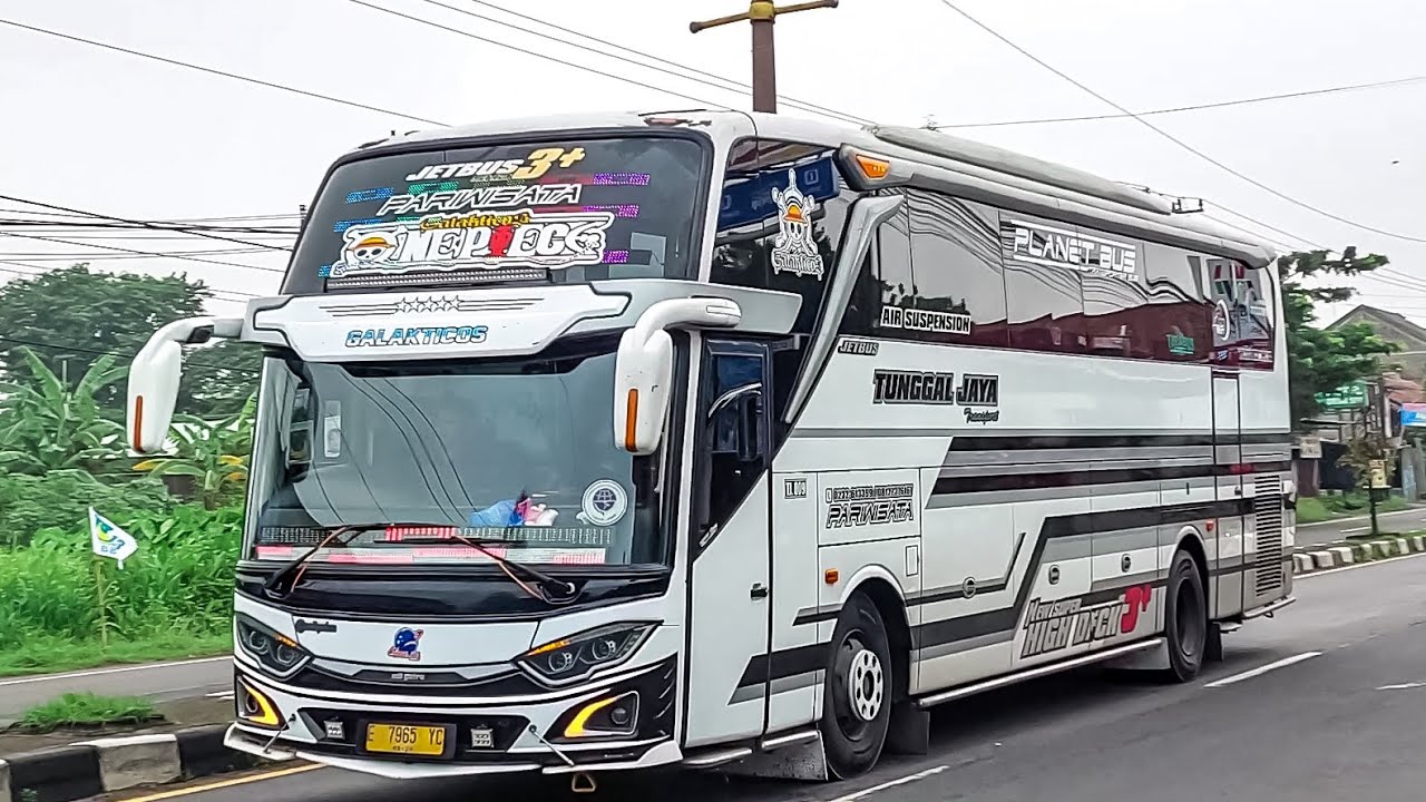 APAKAH OLD KIDS PANDA MASIH SETENAR DULU⁉️ ELF Pradana Trans Pasang Basuri V4‼️