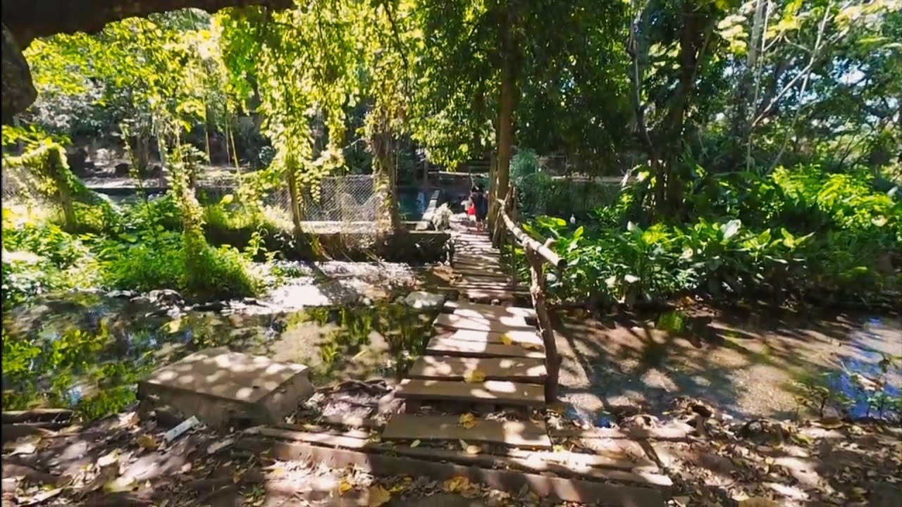Pescadito de oro Nahuilingo - Sonsonate, El Salvador 🇸🇻 travel.