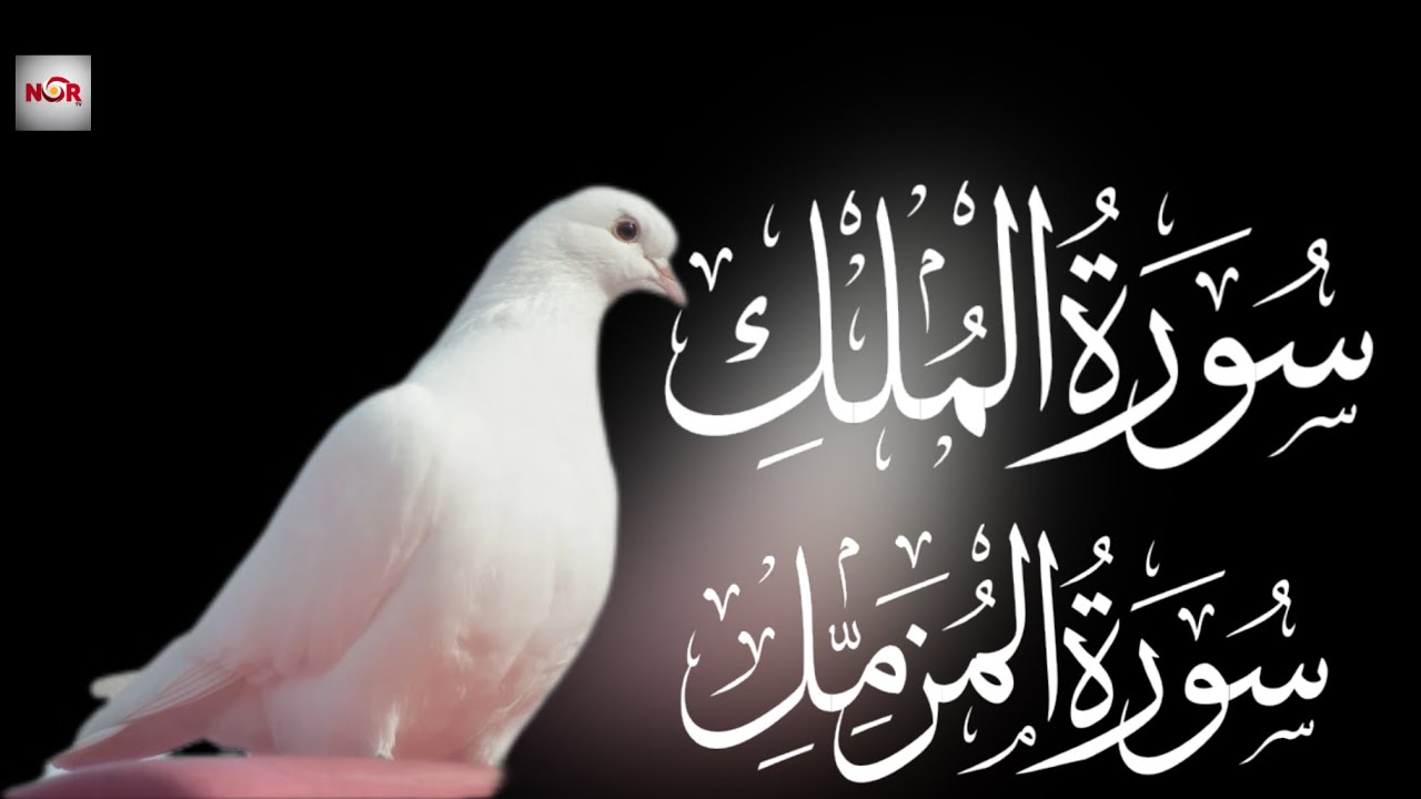 سورة الملك و المزمل | Surah Al-Mulk & Al-Muzzammil &ndash; Dominion and Devotion in Divine Light