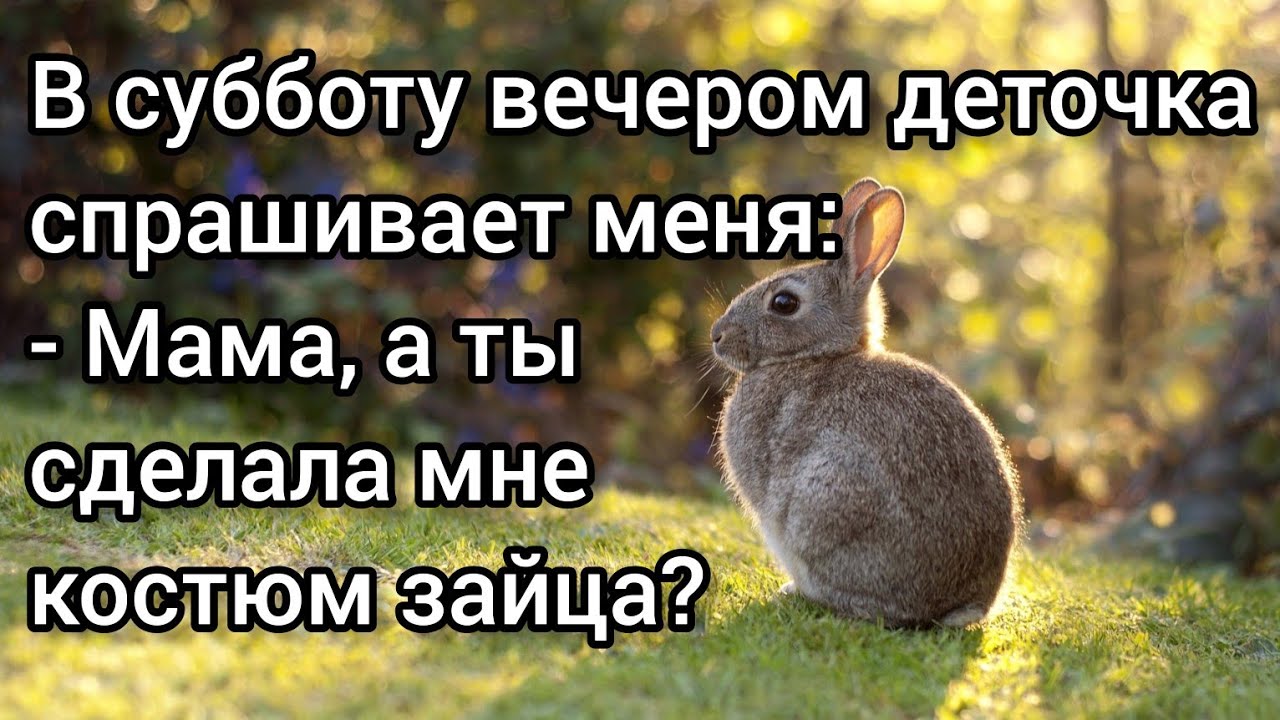 Истории из жизни. А ТЫ СДЕЛАЛА МНЕ КОСТЮМ ЗАЙЦА? Реальная смешная история, юмор и позитив. Рассказ.
