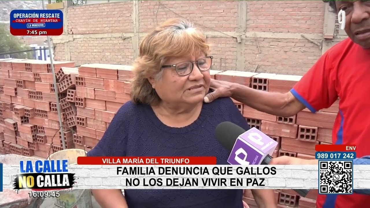 Gallos no dejan dormir a vecinos en VMT